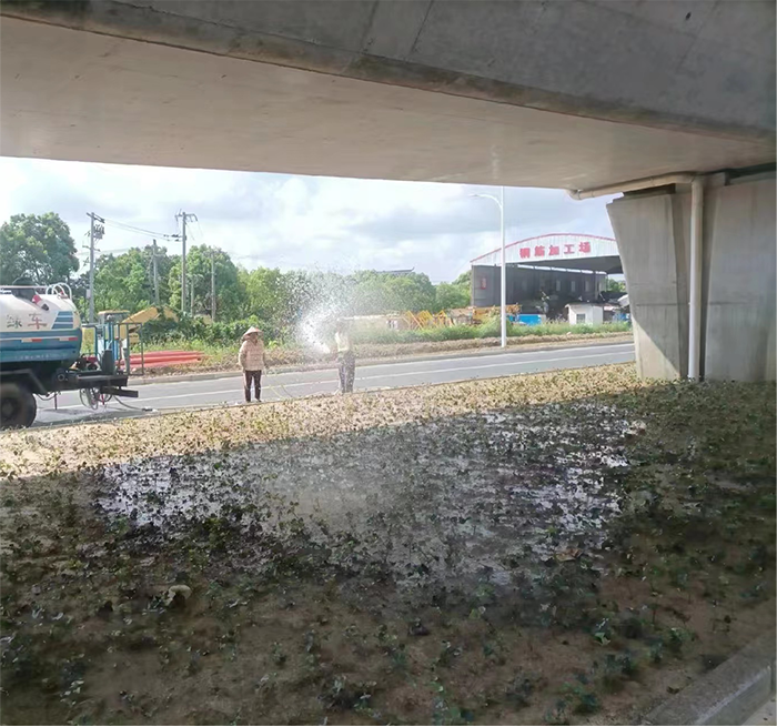 524国道常熟莫城至辛庄段改扩建景观绿化工程浇水养护.png