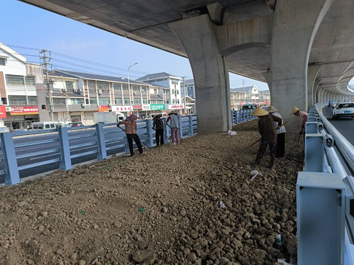 524国道常熟莫城至辛庄段改扩建景观绿化工程土方细整.png