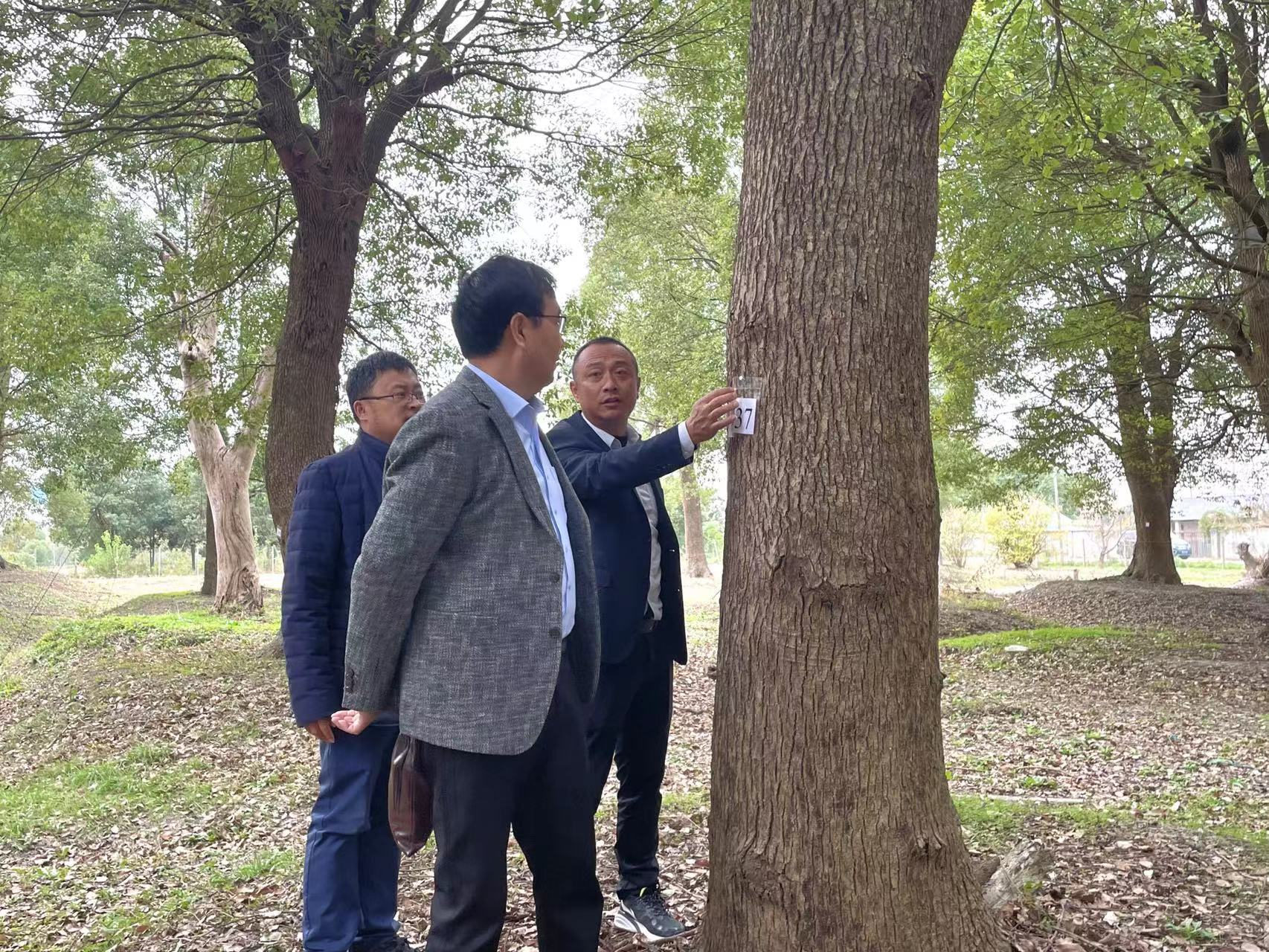 图片5_副本.jpg