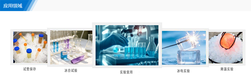 yy01-s.jpg