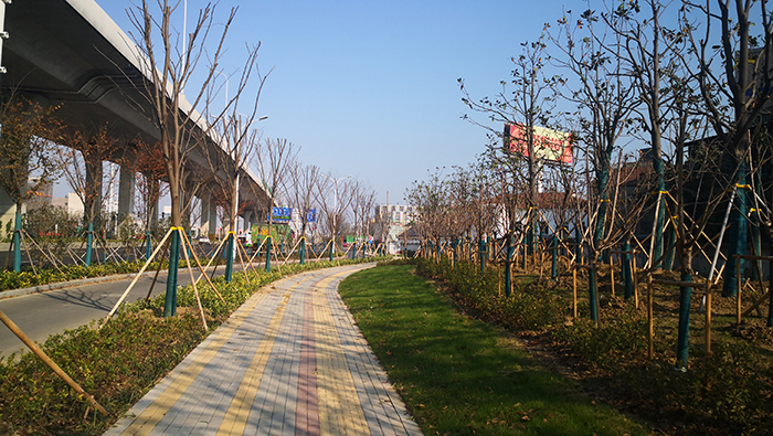 一標南側(cè)204國道西01.jpg 一標南側(cè)204國道西01.jpg