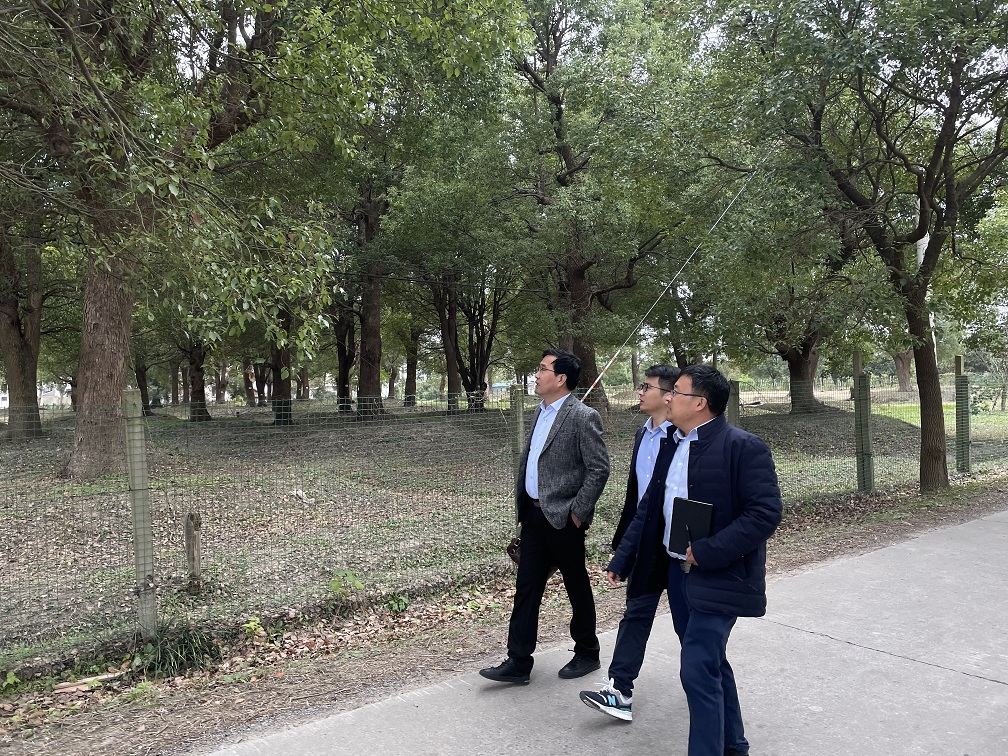 图片3压缩.jpg