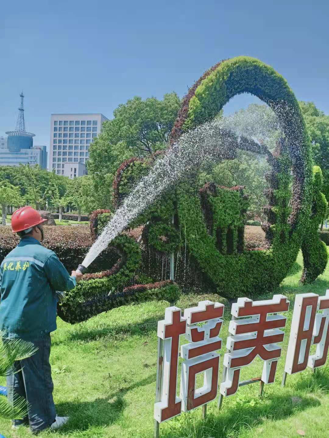 日常澆水養(yǎng)護(hù)2.jpg 日常澆水養(yǎng)護(hù)2.jpg