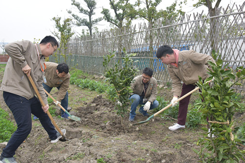 植樹(shù)2.jpg