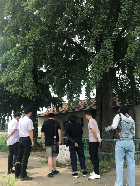 計劃科召開琴川街道區(qū)域康復護理中心古樹名木保護論證會   2020.7.30.png